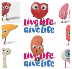 Guernsey Kidney Patients Association