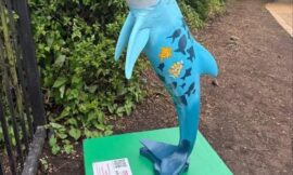 Echo the Dolphin !