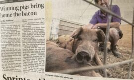 Farming Brothers winning at the West Show