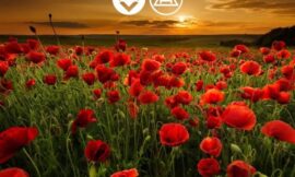 Armistice Day