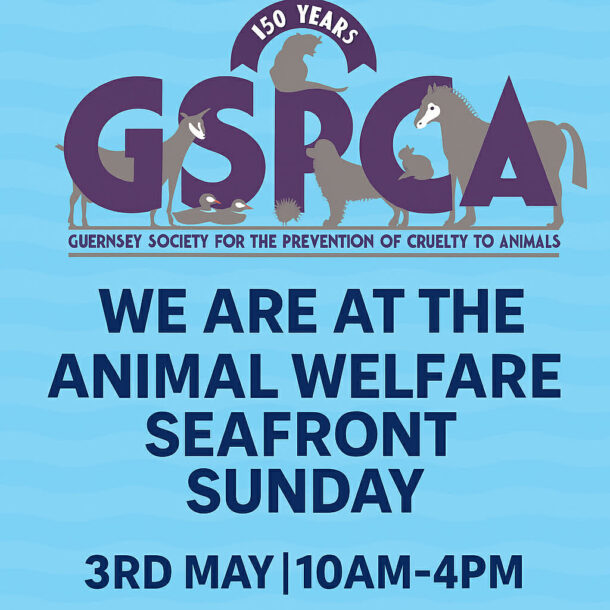 Light Blue Guernsey Freemasons at the GSPCA Animal Welfare Seafront Sunday
